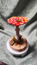Narrischer Schwammerl/Roter Fliegenpilz aus Pappmaché zum Aufstellen in einer originellen Geschenkverpackung