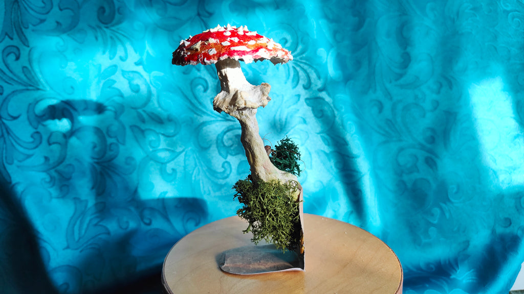 Narrischer Schwammerl/Roter Fliegenpilz aus Pappmaché zum Anhaften mit Magnet in einer originellen Geschenkverpackung